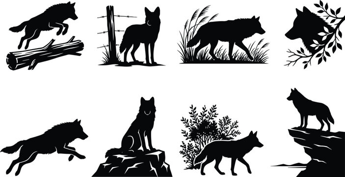 Set of wild wolf and coyote black silhouettes in various nature landscapes for graphic design projects