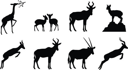 Set of wild African antelope and gazelle black vector silhouettes in various standing, jumping, and grazing poses © Rokon