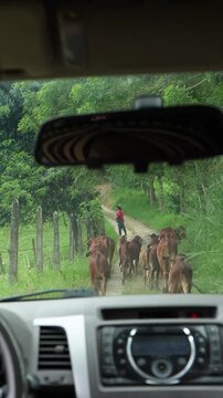 group of red brahmins guided from inside a chariot