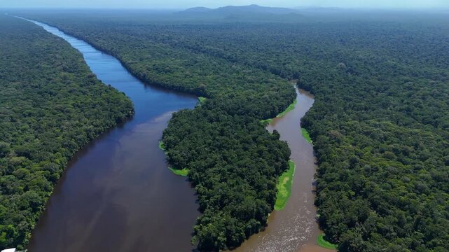 Aerial view of river confluence in tortuguero national park rainforest