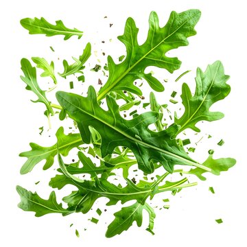 Fresh green mint leaves with delicate white flowers.