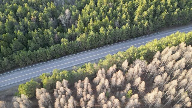 A static aerial shot of a road surrounded by forest - Plan fixe a&eacute;rien d'une route entour&eacute;e de foret