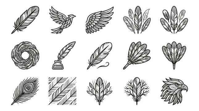 Assorted feather and bird head ink illustrations.