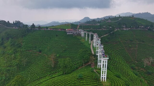 Aerial view of skywalk crossing tea garden valley with village in background, Kemuning, Indonesia. Travel and tourism concept.