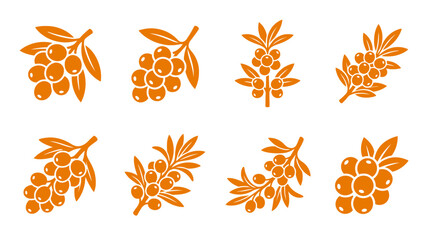 Orange sea buckthorn berry and branch icon collection. © Marakawulo