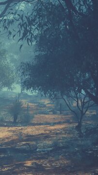 A path winds through a misty forest. Trees stand tall on both sides, with shadows playing on the ground. The early morning light creates a mysterious atmosphere as fog lingers.