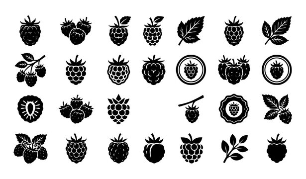 Modern raspberry logo and silhouette vector collection with berry fruit botanical icons