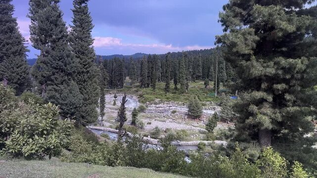 Kashmir, Pahalgam, Doodhpathri, Green Paradise, Nature, Travel, Mountains, Rivers, Meadows, Scenic Beauty, Summer Adventure, Jammu and Kashmir Tourism