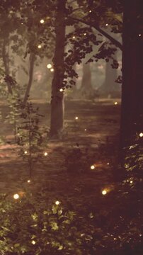 Soft light from fireflies fills the forest as a person walks slowly through the trees. The time is evening and a gentle glow illuminates the surroundings. Nature thrives in this setting.