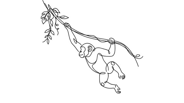Minimalist single line drawing of a monkey swinging on a vine with leaves, isolated on white.