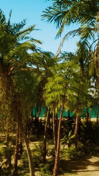 Palm trees fill the landscape with bright green leaves and tall trunks. An ocean can be seen in the distance under a clear blue sky. The scene captures a tropical environment.