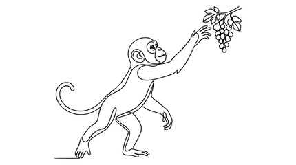 Continuous line drawing of a monkey reaching for grapes on a white background © Nur