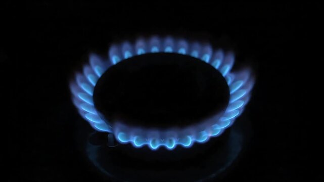 Blue gas flame burning on kitchen stove burner close up fire burn energy heat cooking
