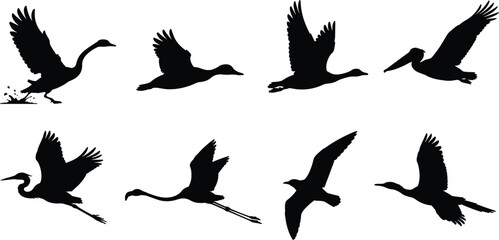 Fototapeta premium Water Bird Silhouette Bundle with Herons Ducks Pelicans Cranes and Flying Wetland Birds