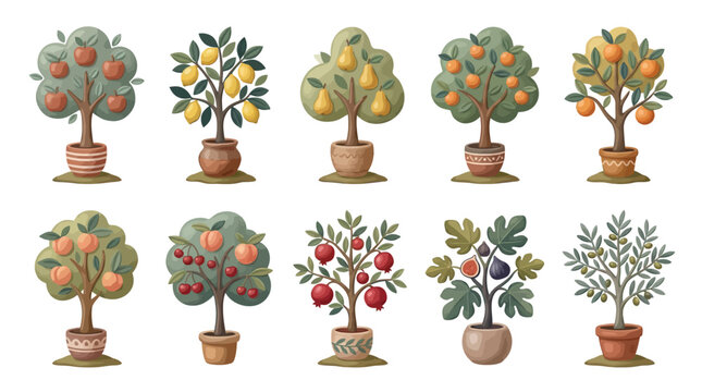 clay fruits tree illustration collection