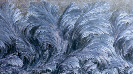Obraz premium Intricate ice frost crystals on window glass in winter season