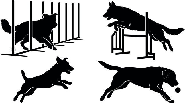 Dog agility and training vector silhouettes set featuring jumping weaving running and catching ball icons