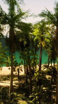 Tropical scene shows palm trees by the shore with clear blue water and sandy beach in the background under bright daylight. It looks like a sunny day in a relaxed location.