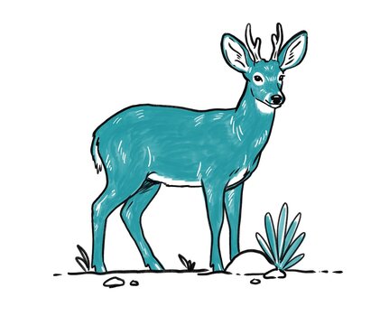 Huemul south andean deer endangered species vector illustration