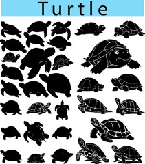 Black Turtle silhouette vector illustration, Turtle black and white vector © GraphiTee Forge