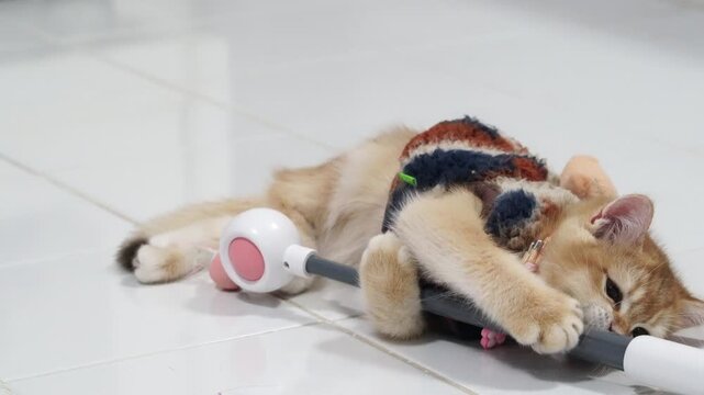 Playful orange fur kitten and cute brown cat wearing colorful sweater lying on white tile floor, hugging and biting toy, adorable playful animal pet, relaxed cozy indoor scene, energetic mood