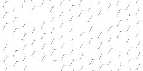 Fishing or soccer net. Repeated hexagon pattern. Black wired mesh texture isolated on white background. Metallic or fabric fence, cage or lattice structure. © fathor