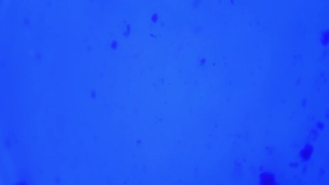 Abstract blue texture background