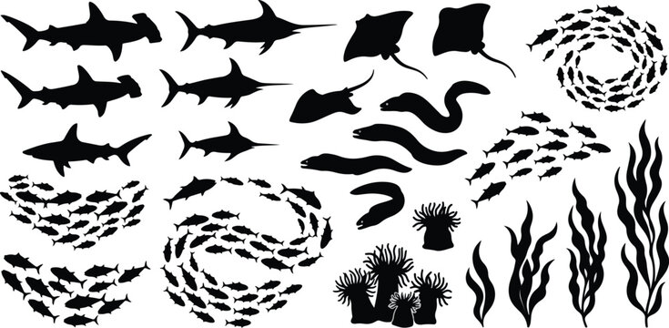Marine predators and fish silhouettes collection featuring stingrays sharks eels and coral reef elements vector set