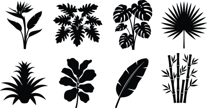 Tropical plant silhouettes icon set featuring monstera banana leaf palm bird of paradise bamboo and fiddle leaf fig on white
