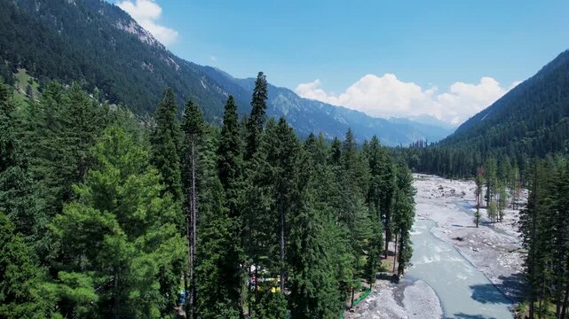 alpine Panjkora Valley with dense Himalayan deodar forest and a mountain river, Upper Dir, Pakistan