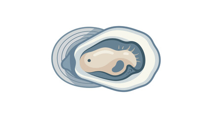 Fresh Oyster Illustration - Seafood Delicacy © Laris