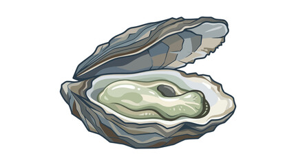 Fresh Oyster in Shell, Seafood Delicacy Illustration, Isolated on White © Laris