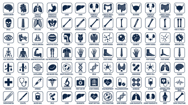 Medical Icons Set: Human Anatomy, Organs, Bones, DNA, and Health Symbols