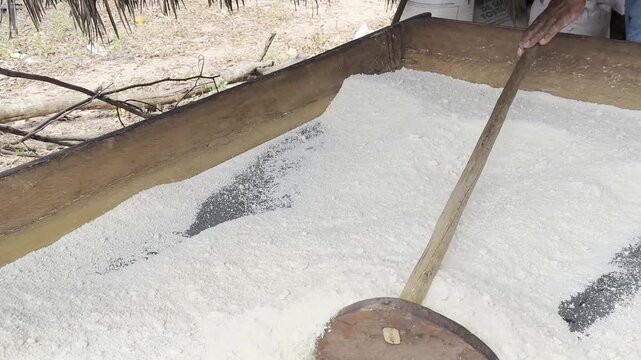 Close-up, Raw Ingredient, Plant Root, Healthy Foods, Authentic Brazilian Cuisine, White Flour Powders