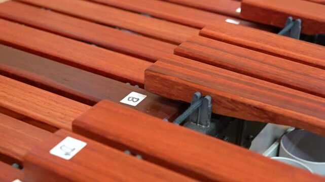 Close-up of wooden xylophone bars with musical note labels