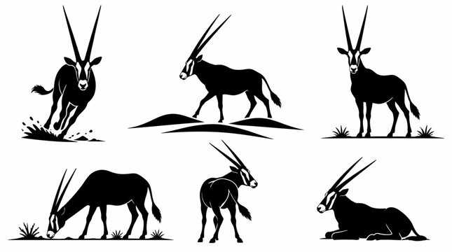 Set of Oryx Antelope Silhouettes in Various Poses, Black and White Vector