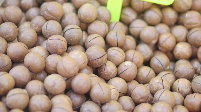 Discovering the beauty of raw macadamia nuts at the market