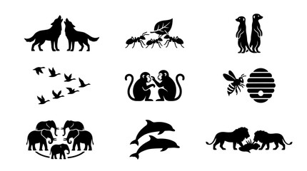 Obraz premium Silhouettes of various wild animals.