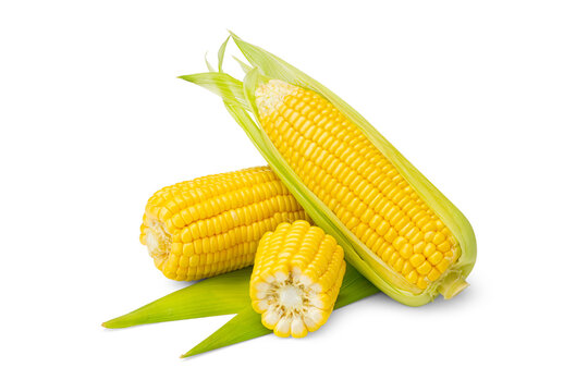 Close-up of Multiple Husked Yellow Sweet Corns with Cut Cob and Kernels on White Background

