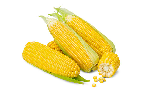 Close-up of Multiple Husked Yellow Sweet Corns with Cut Cob and Kernels on White Background
