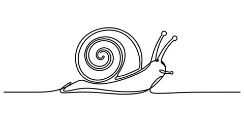 Continuous single line drawing of a cute snail moving slowly with a spiral shell on its back isolated icon design for creative art projects Vector, illustration © New Outline
