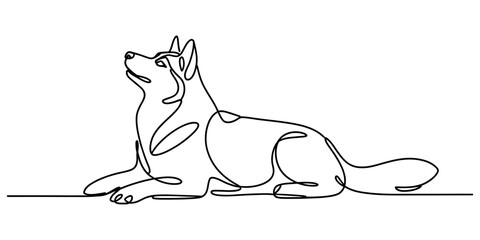 Continuous single line drawing of a husky dog lying down on the ground Vector, illustration © New Outline