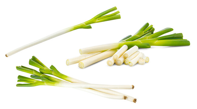 Whole Green Onions and Cut Segments on White Background