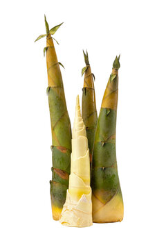 Close-up of Fresh Spring Bamboo Shoots Shelled and Peeled on White Background
