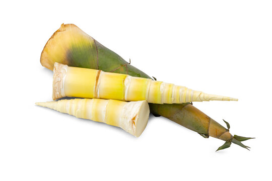 Close-up of Fresh Spring Bamboo Shoots Shelled and Peeled on White Background