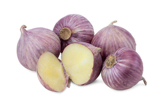 Still Life of Fresh Purple Single Clove Garlic
