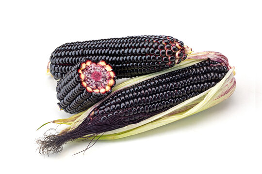 Close-up of Black Waxy Corn with Husks and Cross Section on White Background
