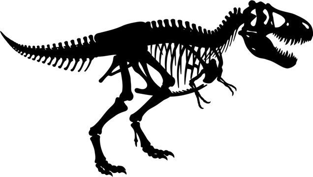 T Rex Skeleton Silhouette Vector Illustration , Dinosaur Silhouette Element , Transparent Background