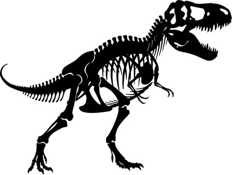 T Rex Skeleton Silhouette Vector Illustration , Dinosaur Silhouette Element , Transparent Background