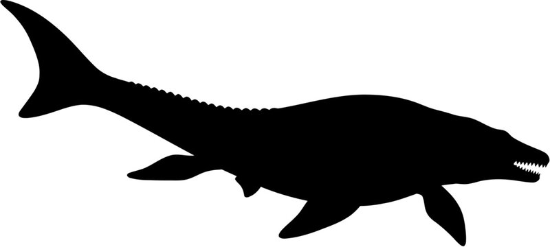 Mosasaurus Silhouette Vector Illustration , Dinosaur Silhouette Element , Transparent Background